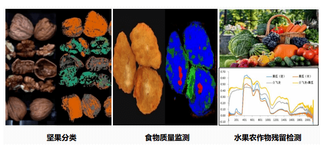 高光谱在食品安全的应用