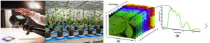 高光谱成像技术植物监测中的优势