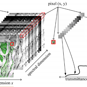 显微成像技术之——高光谱成像