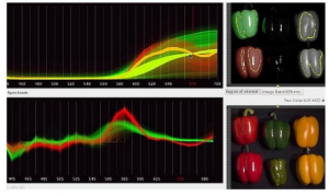 高光谱相机检测果蔬的方法